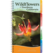 Wildflowers of Northern California: Your Way to Easily Identify Wildflowers