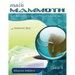 Math Mammoth Grade 5 Skills Review Workbook Answer Key