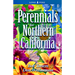 Perennials for Northern California