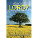 Why Me Lord?: Finding Joy in Affliction