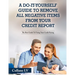 A Do-It-Yourself Guide To Remove All Negative Items From Your Credit Report: The Best Guide To Fixing Your Credit Rating