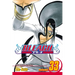 Bleach, Vol. 33