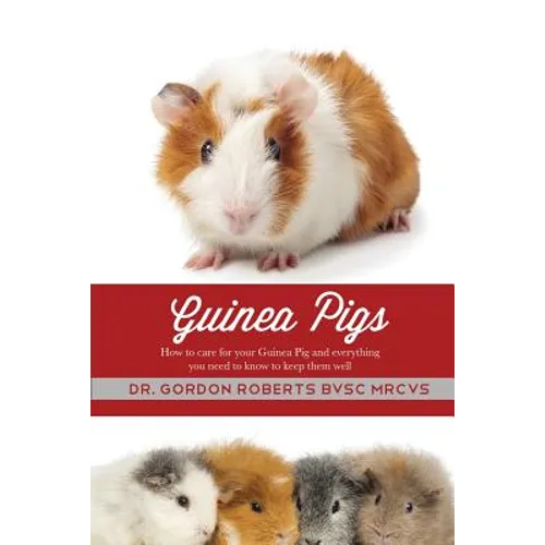 Guinea Pigs: How to care for your Guinea Pig and everything you need to know to keep them well