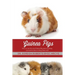 Guinea Pigs: How to care for your Guinea Pig and everything you need to know to keep them well