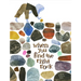 When You Find the Right Rock