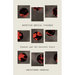 Archiving Medical Violence: Consent and the Carceral State