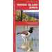 Rhode Island Birds: A Folding Pocket Guide to Familiar Species