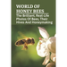 World Of Honey Bees: The Brilliant, Real-Life Photos Of Bees, Their Hives And Honeymaking: Bee Facts For Kids