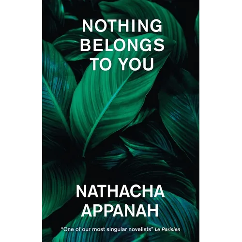 Nothing Belongs to You