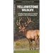 Yellowstone Wildlife: A Folding Pocket Guide to Familiar Animals of the Yellowstone Area