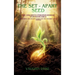 The Set-Apart Seed: The Children's Ethiopian-Hebraic Storybook Bible