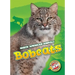 Bobcats