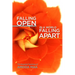 Falling Open in a World Falling Apart: The Essential Teaching of Amoda Maa
