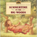 Summertime in the Big Woods