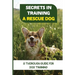 Secrets In Training A Rescue Dog: A Thorough Guide For Dog Training: How To Train Your Dog To Be A Rescue Dog
