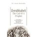 Zerubbabel: The Call of a Prophet