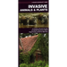 Invasive Animals & Plants: A Folding Pocket Guide to North America's Most Aggressive Invasive Species