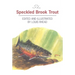 The Speckled Brook Trout