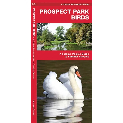 Prospect Park Birds: A Folding Pocket Guide to Familiar Species
