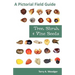 Tree, Shrub, and Vine Seeds: A Pictorial Field Guide