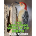 The Amazing World of Birds: Do Your Kids Know This?: A Children's Picture Book