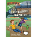 Ballpark Mysteries #15: The Baltimore Bandit