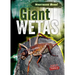 Giant Wetas