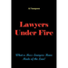 Lawyers Under Fire: What a Mess Lawyers Have Made of the Law!