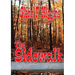 The Sidewalk