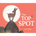 The Top Spot