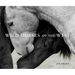 Wild Horses of the West