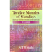 Twelve Months of Sundays Year B: Reflections On Bible Readings