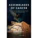 Assemblages of Cancer: Experiences and Contexts of Breast Cancer in the Uk, France and Italy