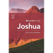 Journey Through Joshua: 30 Biblical Insights by David Sanford
