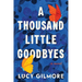 A Thousand Little Goodbyes