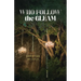 Who Follow the Gleam: Poems