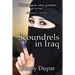 Scoundrels in Iraq: An Engineer's Adventures