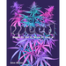 Weed: Smoke It, Eat It, Grow It, Love It