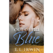 Out of the Blue: Closed Door Romance at the Blues Avenue