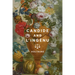 Candide and l'Ingénu