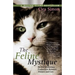 The Feline Mystique: On the Mysterious Connection Between Women and Cats
