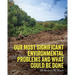 Our Most Significant Environmental Problems and What Could Be Done
