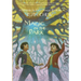 A Matter-of-Fact Magic Book: Magic in the Park