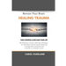 Retrain Your Brain Healing Trauma: Revolutionary trauma releasing techniques in brain neural retraining break emotional links associated with stressfu