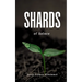Shards of Solace