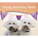 Happy Birthday, Bella
