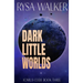 Dark Little Worlds