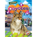 Coyotes