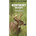 Kentucky Wildlife: A Folding Pocket Guide to Familiar Animals
