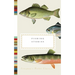 Fishing Stories